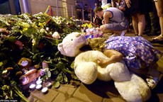 Những hình ảnh đau lòng trong vụ máy bay Malaysia rơi ở Ukraine