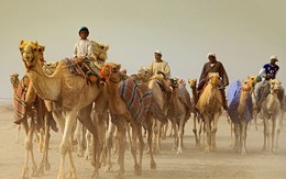 Số người chết vì “bệnh lạ” Trung Đông tiếp tục tăng cao