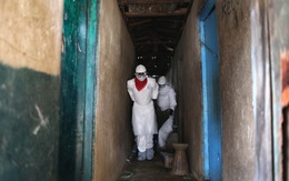 CHDC Congo có hơn 10 người chết vì bệnh “giống ebola”