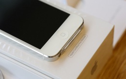 iPhone 5 trở lại thị trường với giá hơn 8 triệu đồng
