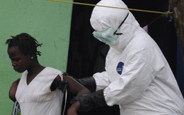 Dịch Ebola đang diễn ra như thế nào?