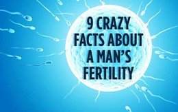 9 yếu tố ảnh hưởng xấu đến khả năng sinh sản của nam giới