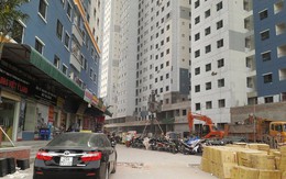 Thực hư rầy nâu "nổi loạn" tấn công chung cư Kim Văn- Kim Lũ