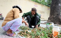 "Tình yêu vỉa hè" của đôi vợ chồng 30 năm bán me mưu sinh ở Sài Gòn