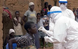 Hãi hùng dịch sốt xuất huyết bùng phát do virus giống Ebola