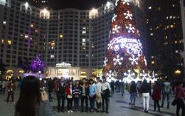 Dân Hà Nội đổ xô đi chụp ảnh với cây thông Noel khổng lồ