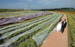 Ngắm chiếc váy cưới dài nhất thế giới 4,8 km