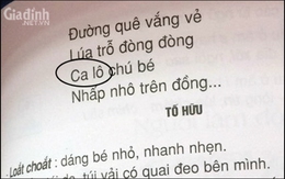 Thêm sai sót nghiêm trọng trong sách Tiếng Việt lớp 2