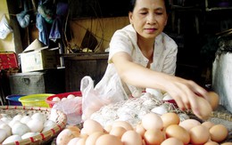 Khi nào trứng gà gây độc?