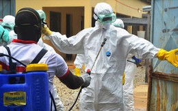 Nigeria đẩy lùi đại dịch Ebola bằng… nước