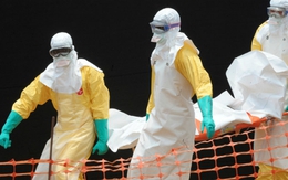 Hơn 3.000 người đã chết vì Ebola