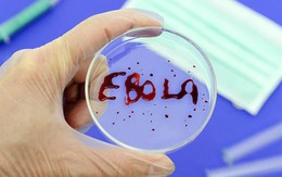 Khi xuất hiện người nhiễm Ebola, Việt Nam sẽ làm gì?