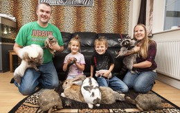 Bố mẹ và 2 con cùng "cuồng" thú cưng, nuôi 150 động vật trong nhà