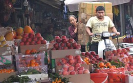 Táo, lê để hàng tháng không hỏng: Ăn xong, chờ... phân tích