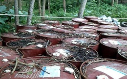 Vụ chôn thuốc trừ sâu ở Thanh Hóa: Chuyển hàng trăm tấn chất thải ra Bắc để xử lý