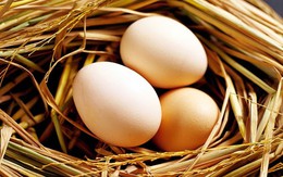 Cách đơn giản để biết trứng mới đẻ hay để lâu