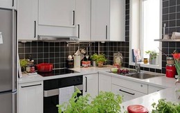 Những lưu ý trồng cây trong nhà bếp