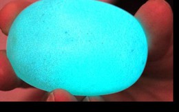 Hòn đá phát ánh sáng xanh: 500 triệu không sang nhượng