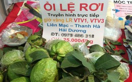 Dân Hà thành xếp hàng ủng hộ ổi Lệ Rơi