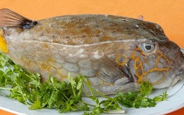 Xuống biển nếm 'gà nước mặn'