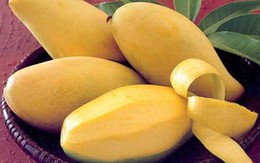 Bí quyết chọn mua xoài luôn tươi, ngon