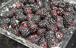 Cách ngâm siro dâu tằm ngọt thơm giải nhiệt mùa hè