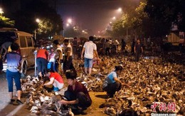 Kinh hoàng hàng nghìn con vịt tràn ra đường phố