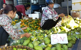 Độc đáo chợ hoa quả đồng giá ở Hà Nội