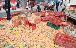 Kinh hoàng hàng nghìn quả trứng trên xe tải đổ xuống đường