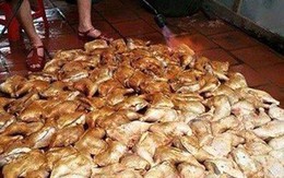 Vụ "nướng gà bằng đèn khò": Cục an toàn thực phẩm vào cuộc