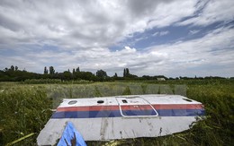 Thêm nhiều phần thi thể của các nạn nhân vụ MH17 được tìm thấy