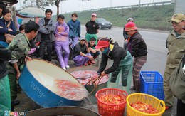 Chợ cá lớn nhất Hà Nội rực vàng ngày ông Công, ông Táo