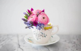 Mẹo hay cắm hoa đẹp trang trí ngày Tết