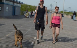 Chàng trai xích cổ, dắt bạn gái đi dạo cùng chó