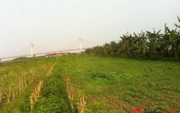 Hà Nội: Dịch vụ cho thuê đất tự trồng rau sạch
