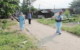 Chủ động phòng ngừa dịch sốt xuất huyết: Thành lập 5 đoàn kiểm tra, giám sát dịch trên cả nước