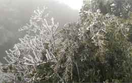 Miền Bắc rét đậm dịp Noel