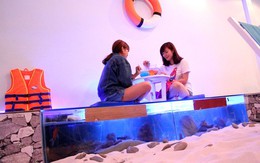Quán cà phê cho khách ngồi trên bể cá ở Sài Gòn