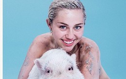 Nữ ca sĩ gây sốc khi khỏa thân bên lợn cưng trên bìa tạp chí