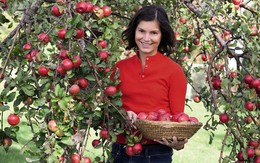 Vườn táo ruột đỏ độc đáo có giá gần 13 bảng Anh mỗi cây