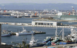Sự hồi sinh thần kỳ của Nhật Bản sau thảm họa động đất sóng thần 2011