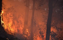 Cháy lớn, hàng ngàn người tham gia cứu rừng ở Nghệ An