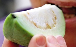 Công dụng bất ngờ của trái ổi khi bạn ăn đúng cách