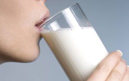 Uống 3 ly sữa mỗi ngày có giảm tuổi thọ?