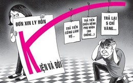 Vợ đòi tiền chữa phụ khoa: "Chồng giở đủ trò tình dục"