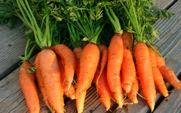 Có nên ăn nhiều cà rốt cho sáng mắt?