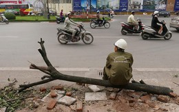 Chậm, còn hơn... không bao giờ