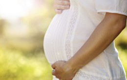 Cấy ghép tử cung - cơ hội mới cho phụ nữ không thể mang thai tự nhiên