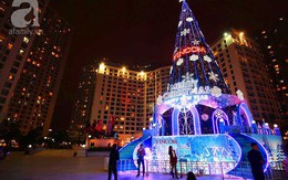Chiêm ngưỡng những cây thông noel khổng lồ ở Hà Nội