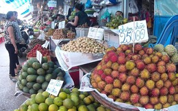 Đi 60 km đến Sài Gòn, giá chôm chôm tăng gấp 5 lần